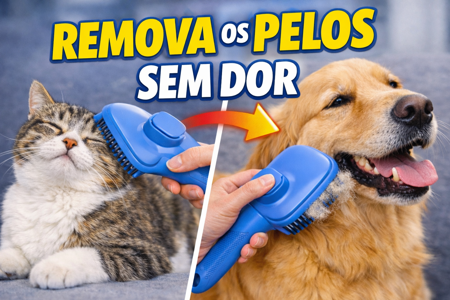 Carregar vídeo: Prático, rápido e confortável para cães e gatos